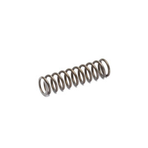 Eemann Tech Firing Pin Spring For Cz 75