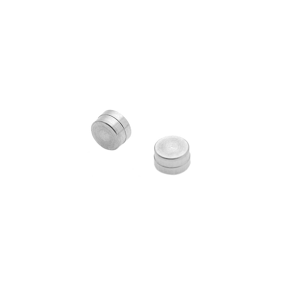 Spare Locator Pin V1E for Eemann Tech Red Dot Mount – 2 pcs./Set