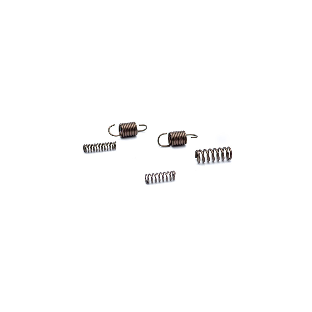 Eemann Tech Springs Set for CZ P-10